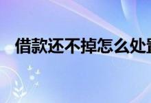 借款还不掉怎么处置 借款还不掉怎么处置