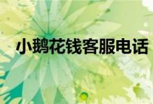 小鹅花钱客服电话 小鹅花钱有客服电话吗
