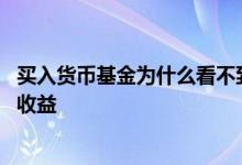 买入货币基金为什么看不到收益 买了货币基金怎么一直没有收益