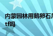 内蒙园林用鹅卵石厂家电话多少 农牧渔林有etf吗