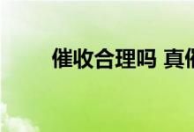 催收合理吗 真催收和假催收的区别