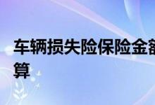 车辆损失险保险金额详细算法，车损险理赔计算