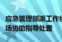 应急管理部派工作组赶赴上海石化火灾救援现场协助指导处置