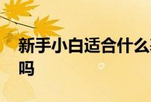 新手小白适合什么基金 普通小白适合买基金吗