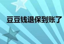 豆豆钱退保到账了 豆豆钱退保还能再借吗