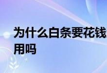 为什么白条要花钱激活 激活白条不用会有费用吗