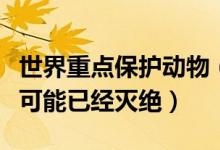 世界重点保护动物（十大最为濒危的动物榜首可能已经灭绝）
