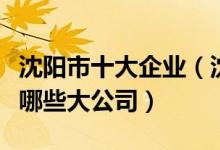 沈阳市十大企业（沈阳最好的公司排名沈阳有哪些大公司）