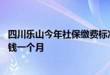 四川乐山今年社保缴费标准是多少 乐山自己买社保要交多少钱一个月 