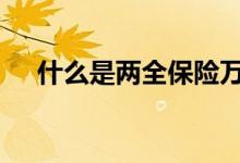 什么是两全保险万能型 什么是两全保险