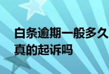 白条逾期一般多久会被起诉 白条逾期三个月真的起诉吗