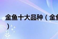 金鱼十大品种（金鱼种类大全金鱼有哪些品种）