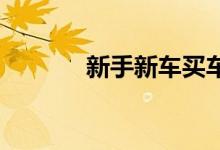 新手新车买车险一般买哪几种