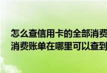 怎么查信用卡的全部消费的账单 请问一下 信用卡每个月的消费账单在哪里可以查到