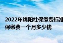 2022年绵阳社保缴费标准基数及比例一览表 2022年绵阳社保缴费一个月多少钱 