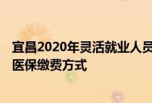 宜昌2020年灵活就业人员医保缴费 2022宜昌灵活就业人员医保缴费方式 