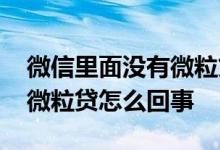 微信里面没有微粒贷什么原因 微信里面没有微粒贷怎么回事
