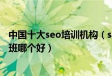 中国十大seo培训机构（seo实战培训机构排名seo专业培训班哪个好）