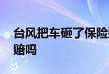 台风把车砸了保险赔么 台风车被树砸了保险赔吗