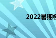 2022暑期档总票房破10亿