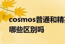 cosmos普通和精英区别 波卡和Cosmos有哪些区别吗