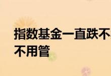指数基金一直跌不卖会怎样 指数基金下跌用不用管
