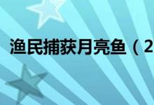 渔民捕获月亮鱼（2018月亮鱼多少钱一斤）
