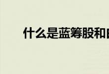 什么是蓝筹股和白马股 什么是蓝筹股