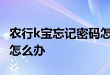 农行k宝忘记密码怎么办? 农行k宝密码锁定了怎么办