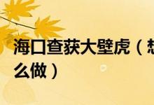 海口查获大壁虎（想购买野生干制品入境需这么做）