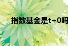 指数基金是t+0吗 指数基金t1什么意思