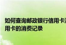 如何查询邮政银行信用卡消费明细 怎么查询邮政储蓄银行信用卡的消费记录