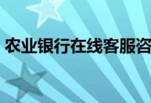 农业银行在线客服咨询（农业银行在线客服）