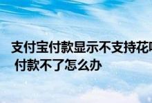 支付宝付款显示不支持花呗付款 支付宝别人用花呗付款给我 付款不了怎么办