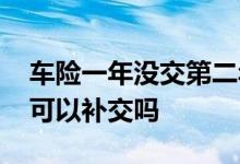 车险一年没交第二年要补缴吗 车险一年没交可以补交吗
