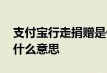 支付宝行走捐赠是什么意思 支付宝收益捐是什么意思
