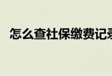 怎么查社保缴费记录 交多少年才有退休金 