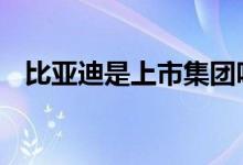 比亚迪是上市集团吗 比亚迪是上市公司吗