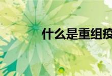 什么是重组疫苗 什么是重仓股