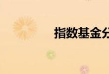 指数基金分红后会亏损吗