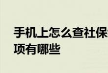 手机上怎么查社保缴费记录 社保补缴注意事项有哪些 