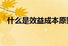 什么是效益成本原则 什么是成本效益原则