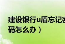 建设银行u盾忘记密码（建设银行u盾忘记密码怎么办）