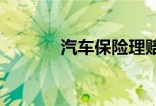 汽车保险理赔查询的具体步骤
