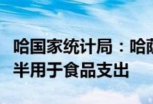 哈国家统计局：哈萨克斯坦居民家庭收入近一半用于食品支出