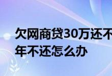 欠网商贷30万还不了怎么办 欠小贷公司钱4年不还怎么办