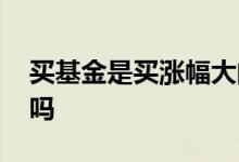 买基金是买涨幅大的吗 买基金是买涨幅大的吗