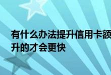 有什么办法提升信用卡额度 怎么样使用信用卡卡片 额度提升的才会更快
