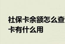 社保卡余额怎么查询 丢了怎么补办电子社保卡有什么用 
