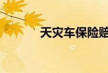 天灾车保险赔吗 保险保天灾吗